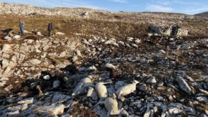 Гром му усмрти 107 овци на сточар од Чашка