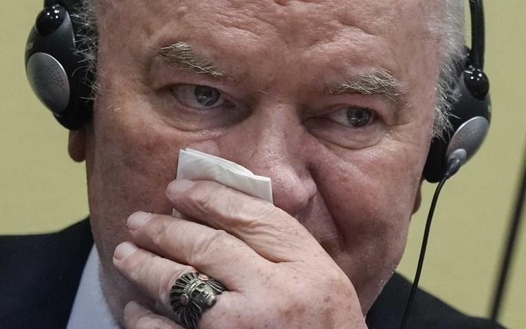 Босански државјанин  е осуден на 15 дена затвор поради величење на Младиќ