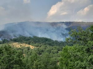 Гори шума на подрачје на Маврово и Ростуше