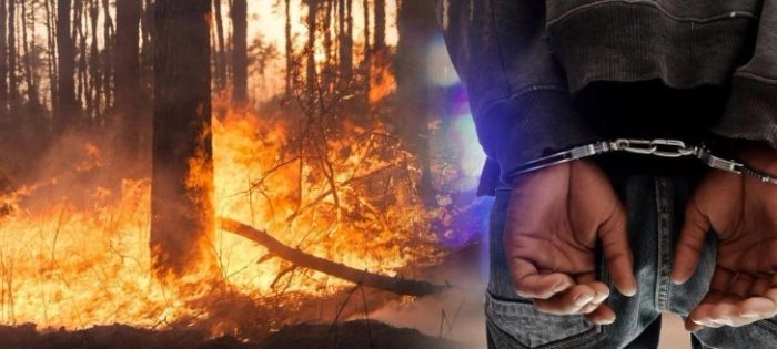 УАПСЕН ПОРАДИ ПРЕДИЗВИКУВАЊЕ ПОЖАР: 38-годишниот маж од Македонски Брод вчера предизвикал пожар во Брезница