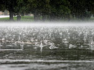 Променливо облачно, попладне локални врнежи и невреме