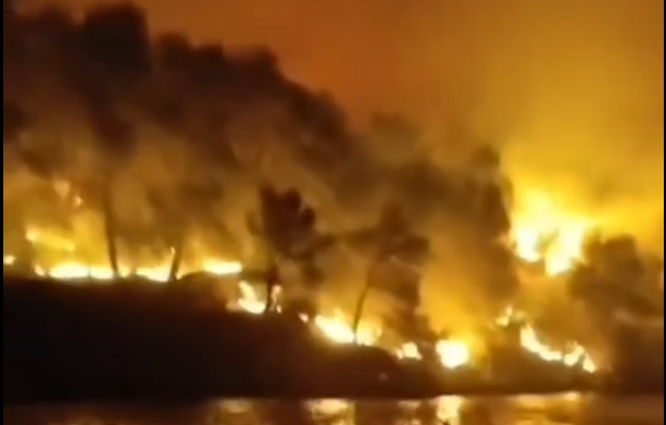 (Видео) Драматични сцени на Брач, пожарот се приближи до куќите, дел од населението евакуирано