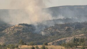 Пожарот кај Грачани е ставен под делумна контрола, вечерва гори и кај селата Ногаевци и Матејче, вели Ангелов