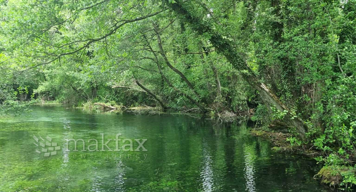 Утре до 32 степени, од недела следуваат дожд и грмежи