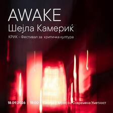 Инсталацијата AWAKE на Шејла Камериќ во МСУ - Скопје
