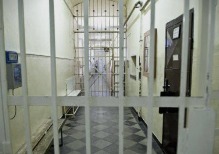 Македонка осудена на 45 дена затвор во Црна Гора за усмртување куче со автомобил