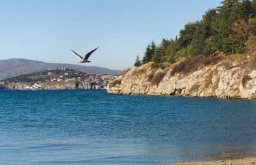 ДОЦНА СИНОЌА ВО ОХРИДСКОТО ЕЗЕРО: Пронајдено телото на исчезнатиот 31-годишен скопјанец