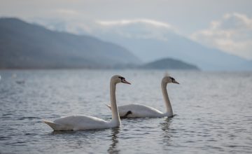 Променливо време и значителен пад на температурата