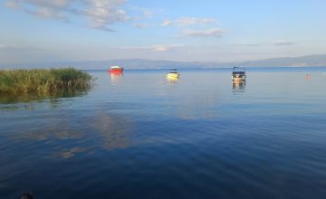 Сончево со умерена облачност, попладне со услови за дожд