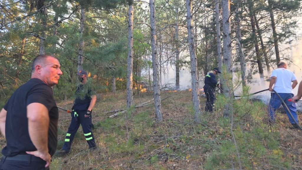 (ФОТО+ВИДЕО) Повторно е воспоставена контрола на пожарот кај штипско Селце што загрози повеќе викендички