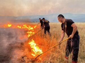 Македонија е неподготвена за природни катастрофи, недостиг на пожарникари, опрема и стратегија
