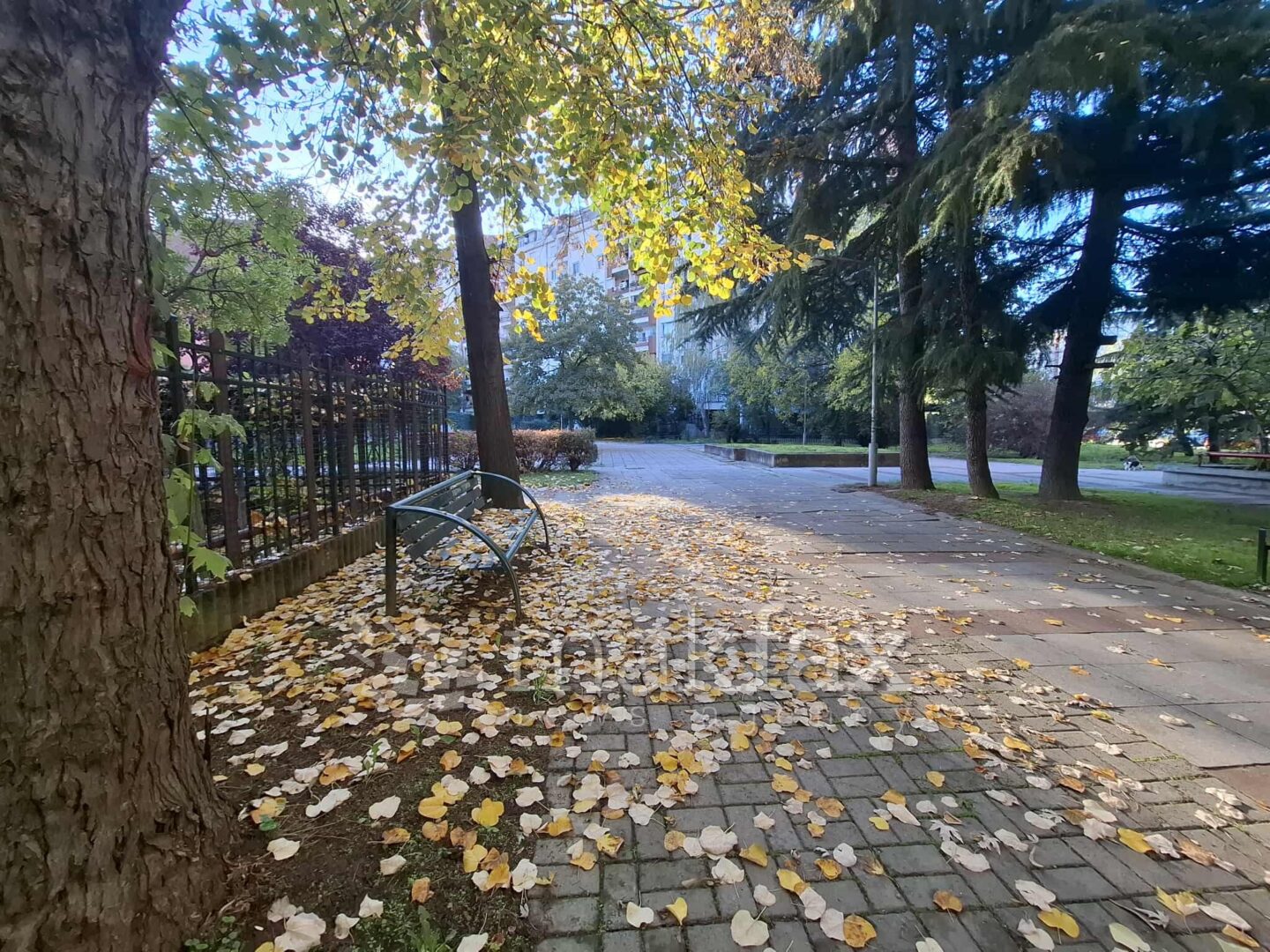 Утрата во наредните денови  ведри и студени, преку денот сончево