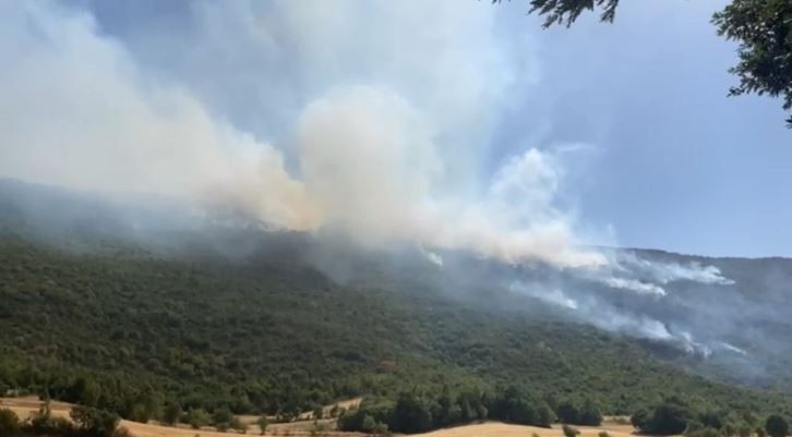 Пожари на повеќе фронтови низ Македонија, шест сè уште не се изгаснати