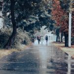 Заладување и дождови во Пелагонија: ризици за здравјето на луѓето и овошките