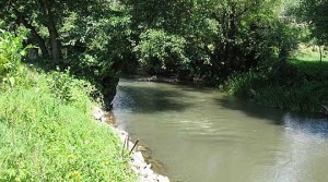 Левица: Официјалните извештаи потврдија дека Треска е мртва река, а институциите молчат – бараме кривична одговорност