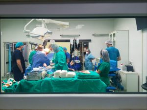 Прва извршена трансплантација на бубрег од мајка на дете со Алпортов синдром во Македонија