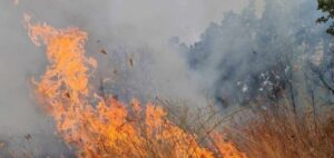 Уапсен е 25 годишник во село во Старо Нагоричане – пијан предизвика пожар