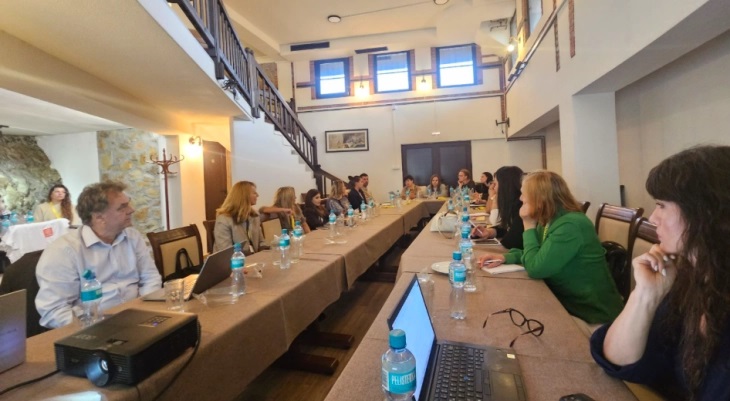 Жените во Македонија добиваат знаење и поддршка за аплицирање на европски проекти