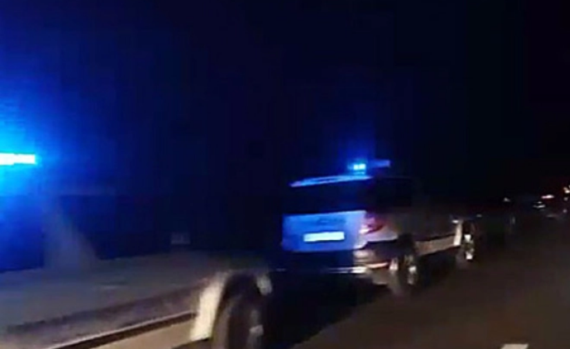 Мечка пцовиса откако беше удрена од автомобил на автопатот Скопје – Тетово