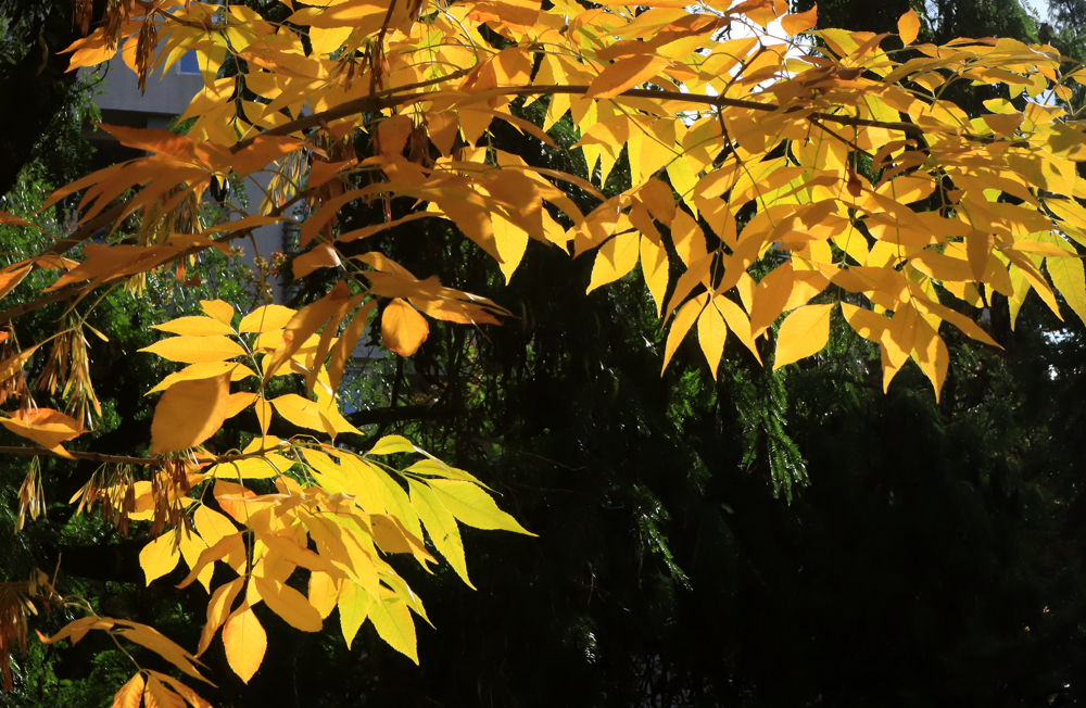Стабилно и променливо облачно време нѐ чека за викендот