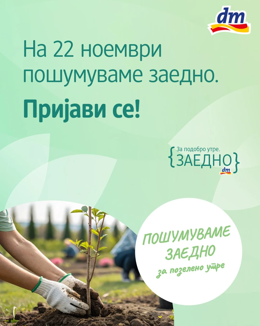 30.000 садници чекаат на сите нас! dm ве повикува на петтото масовно пошумување во Свети Николе – пријавете се до 10 ноември!