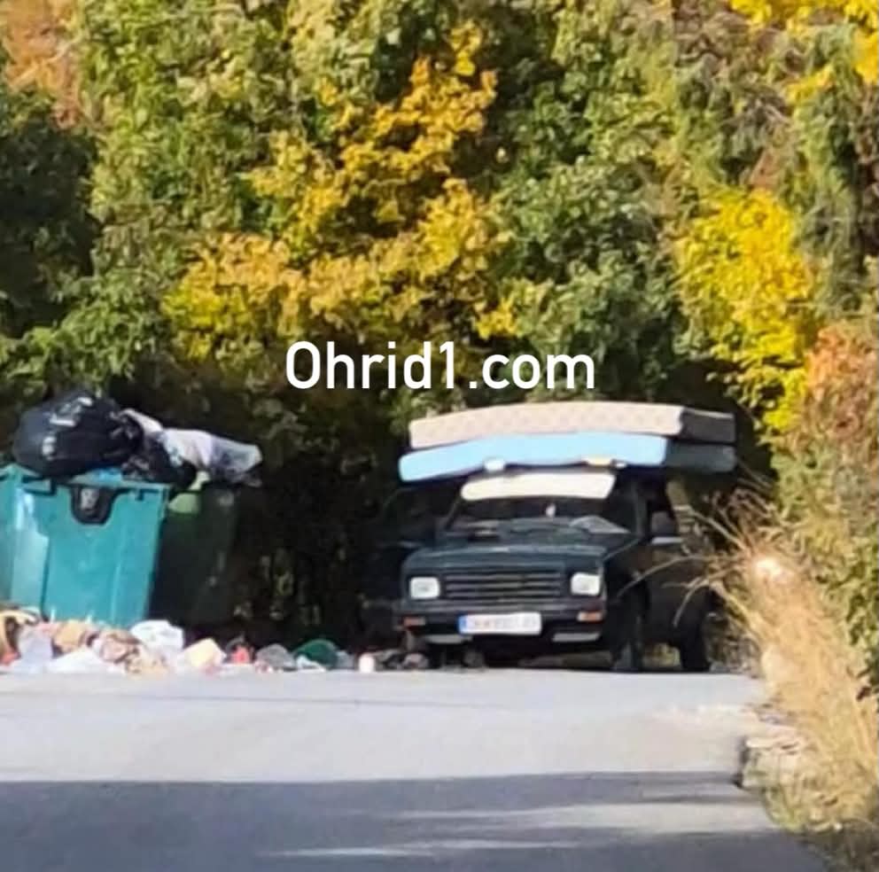 (ФОТО) Со автомобил натоварен со душеци дошле во националниот парт и ги исфрлиле покрај патот