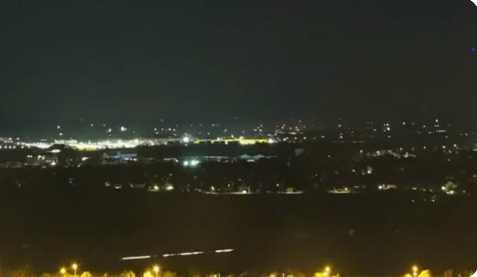 Паника на аеродромот во Минхен: забележана голема дива мачка, можно е да е пума