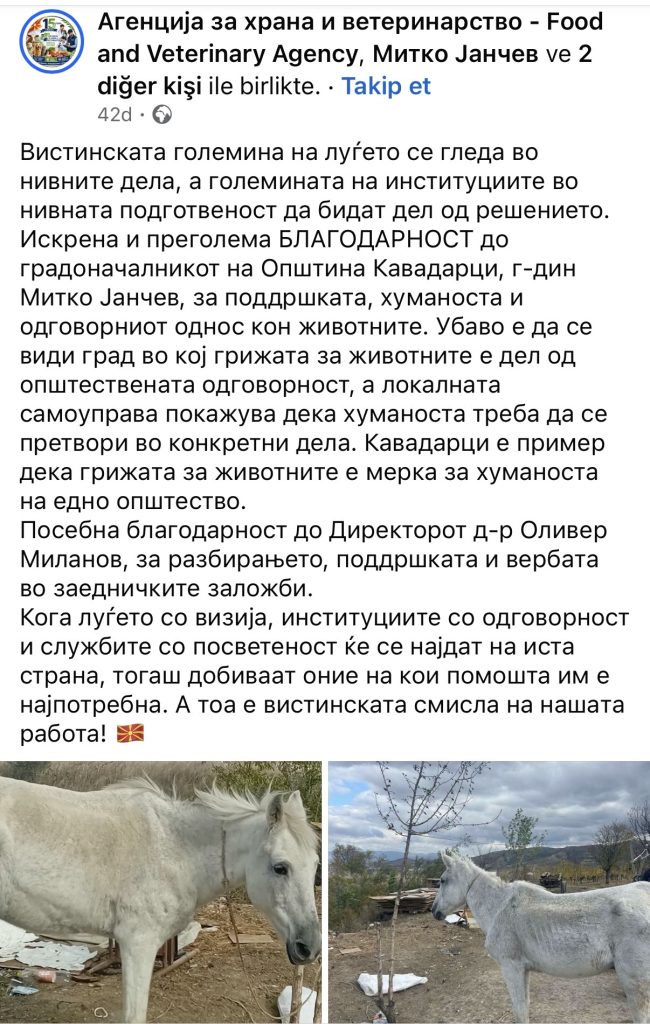 Граѓани помогнале, инспекторка Ристевска постапувала, АХВ ги фали директорот и градоначалникот!?