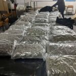 Во струмичко утврден недостиг од речиси осум тони медицински канабис, кривични пријави против фирма и управител
