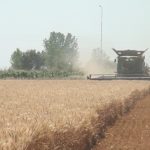 ЗЕЛЕНАТА НАФТА ВО МАКЕДОНИЈА ОСТАНУВА НЕИСКОРИСТЕНА